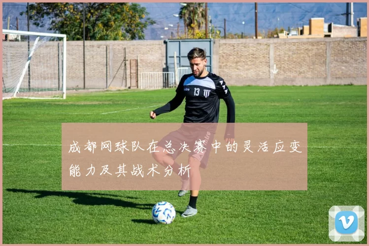 成都网球队在总决赛中的灵活应变能力及其战术分析