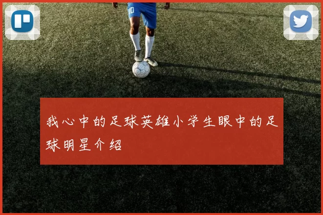 我心中的足球英雄小学生眼中的足球明星介绍