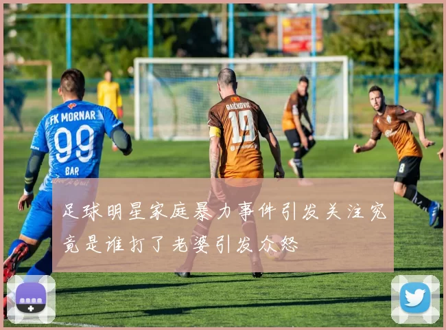 足球明星家庭暴力事件引发关注究竟是谁打了老婆引发众怒