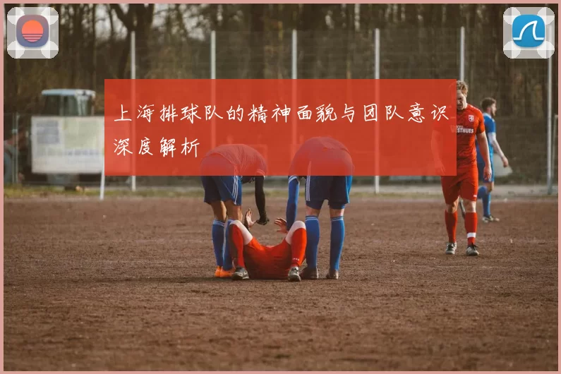 上海排球队的精神面貌与团队意识深度解析