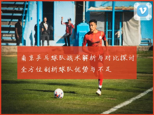 南京乒乓球队战术解析与对比探讨全方位剖析球队优势与不足