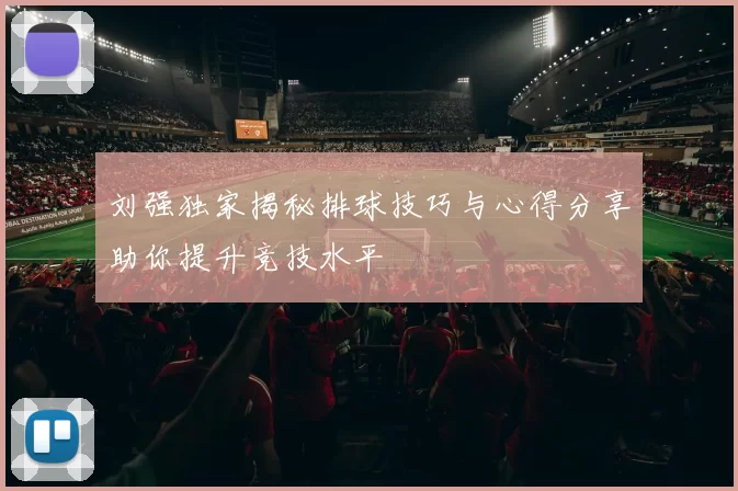刘强独家揭秘排球技巧与心得分享助你提升竞技水平