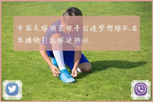 中国足球明星联手打造梦想球队名单揭晓引发球迷热议