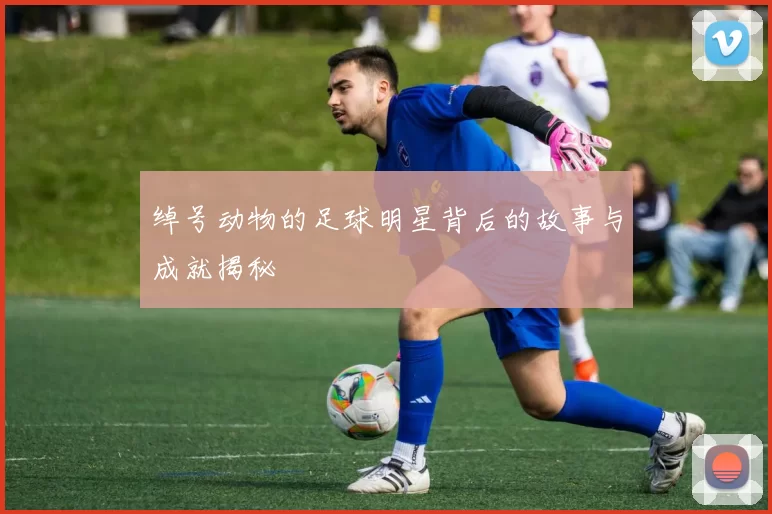 绰号动物的足球明星背后的故事与成就揭秘