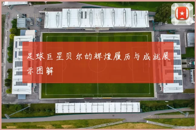足球巨星贝尔的辉煌履历与成就展示图解