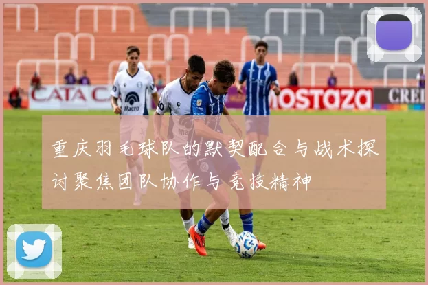 重庆羽毛球队的默契配合与战术探讨聚焦团队协作与竞技精神