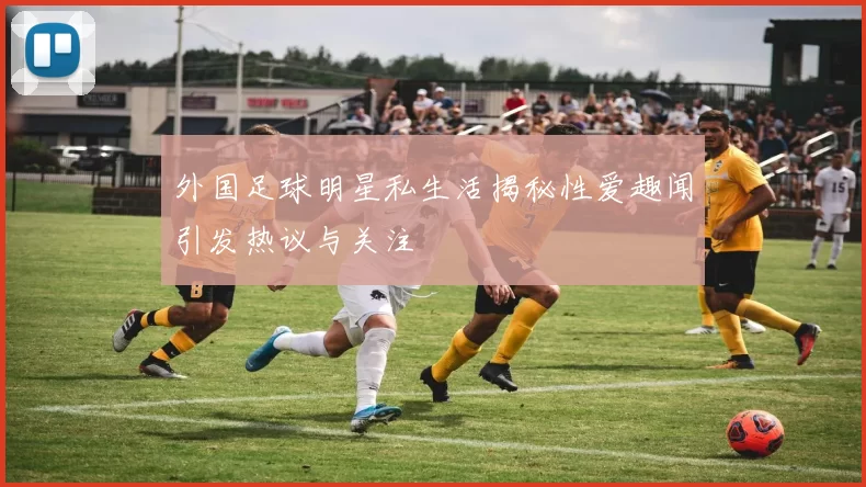 外国足球明星私生活揭秘性爱趣闻引发热议与关注
