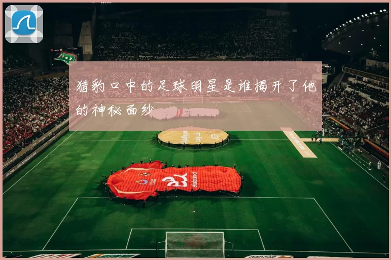 猎豹口中的足球明星是谁揭开了他的神秘面纱