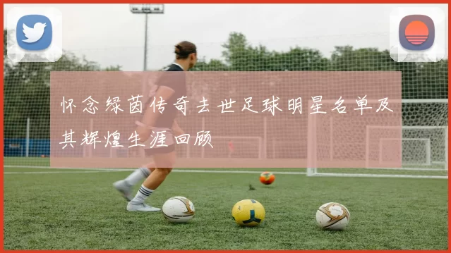 怀念绿茵传奇去世足球明星名单及其辉煌生涯回顾