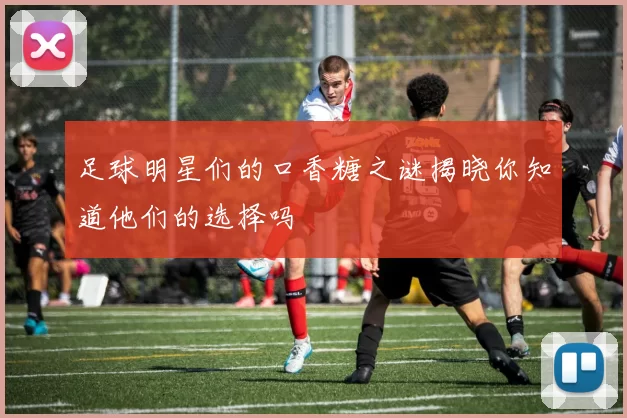 足球明星们的口香糖之谜揭晓你知道他们的选择吗