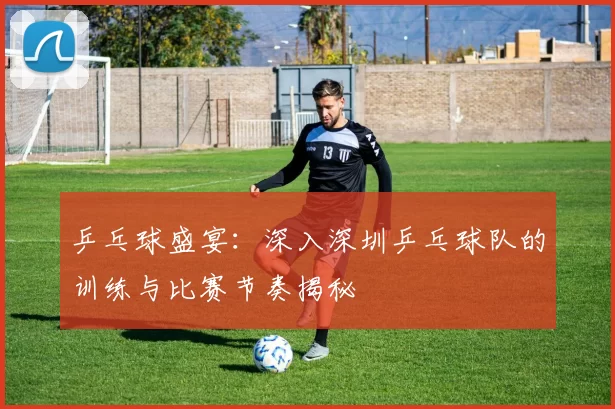 乒乓球盛宴：深入深圳乒乓球队的训练与比赛节奏揭秘
