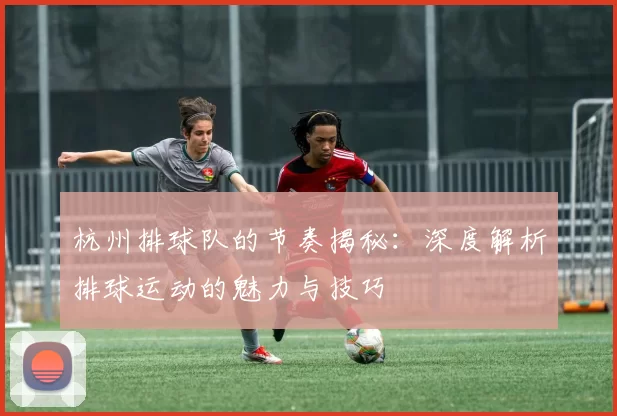 杭州排球队的节奏揭秘：深度解析排球运动的魅力与技巧