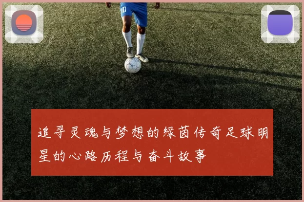 追寻灵魂与梦想的绿茵传奇足球明星的心路历程与奋斗故事