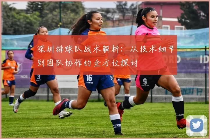 深圳排球队战术解析：从技术细节到团队协作的全方位探讨