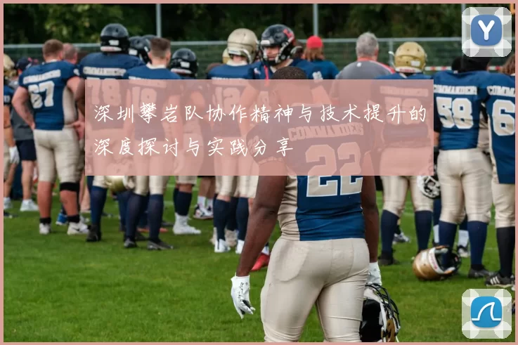 深圳攀岩队协作精神与技术提升的深度探讨与实践分享