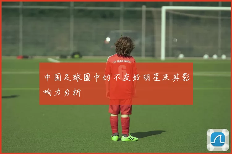 中国足球圈中的不友好明星及其影响力分析