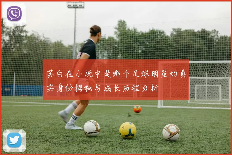 苏白在小说中是哪个足球明星的真实身份揭秘与成长历程分析