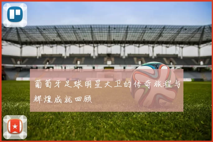 葡萄牙足球明星大卫的传奇旅程与辉煌成就回顾