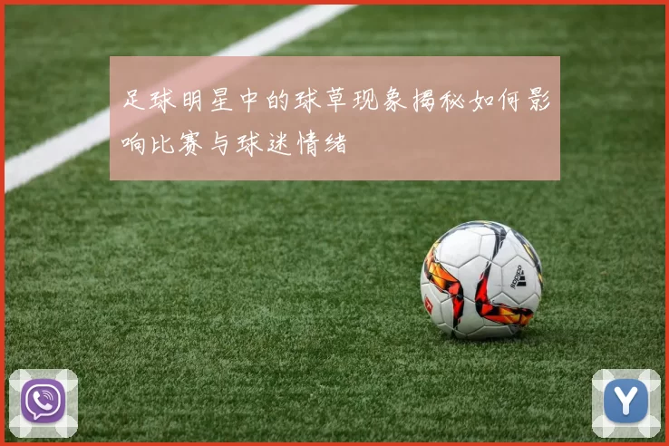足球明星中的球草现象揭秘如何影响比赛与球迷情绪