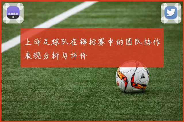 上海足球队在锦标赛中的团队协作表现分析与评价