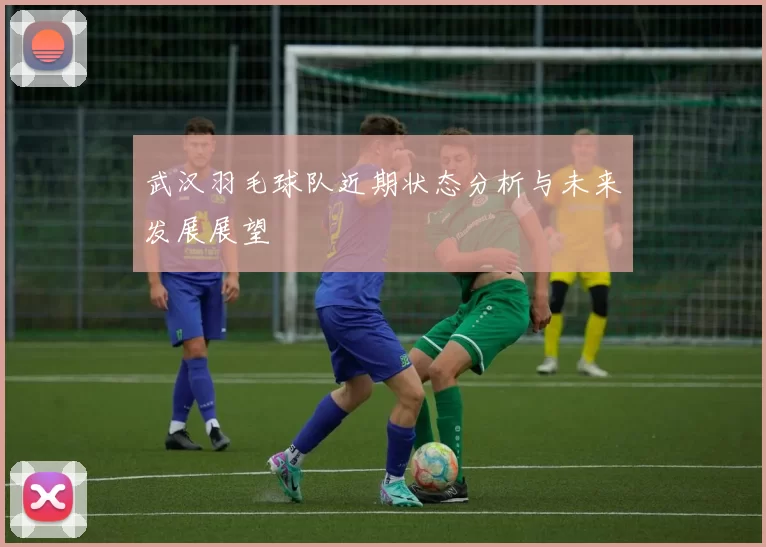 武汉羽毛球队近期状态分析与未来发展展望