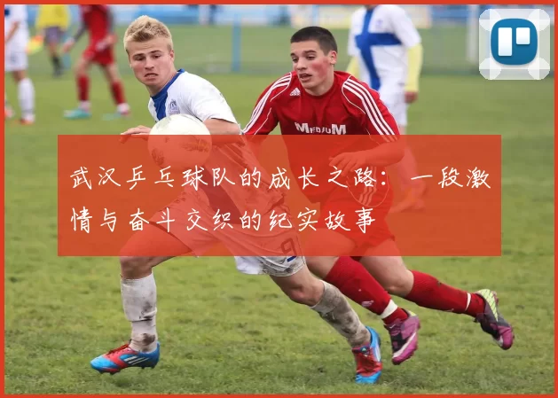 武汉乒乓球队的成长之路：一段激情与奋斗交织的纪实故事