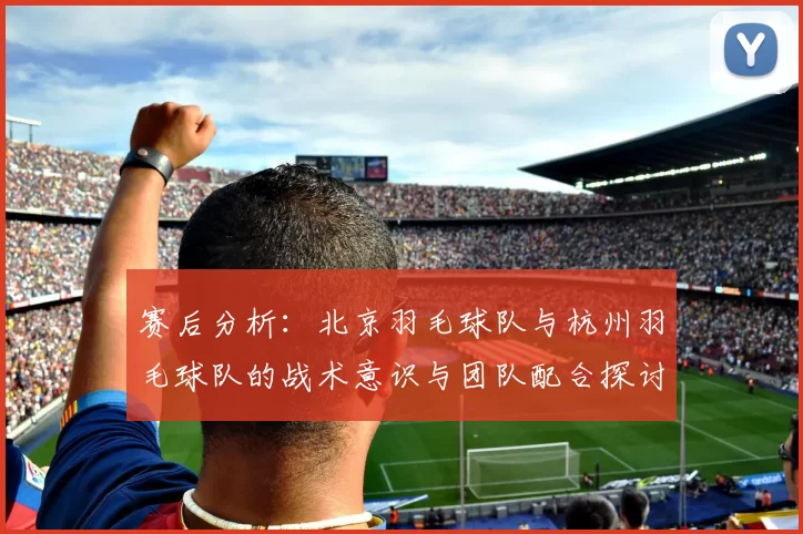 赛后分析：北京羽毛球队与杭州羽毛球队的战术意识与团队配合探讨