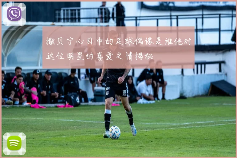 撒贝宁心目中的足球偶像是谁他对这位明星的喜爱之情揭秘