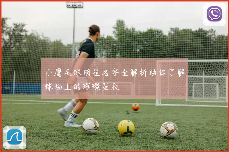 小鹰足球明星名字全解析助你了解球场上的璀璨星辰