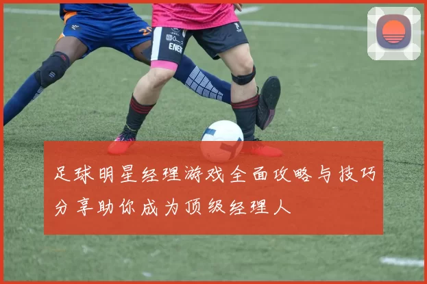 足球明星经理游戏全面攻略与技巧分享助你成为顶级经理人