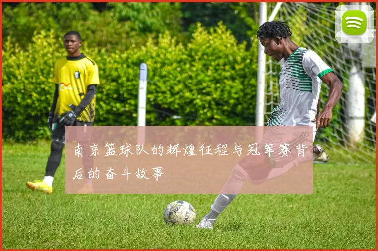 南京篮球队的辉煌征程与冠军赛背后的奋斗故事