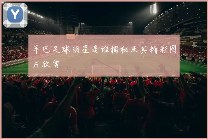 辛巴足球明星是谁揭秘及其精彩图片欣赏