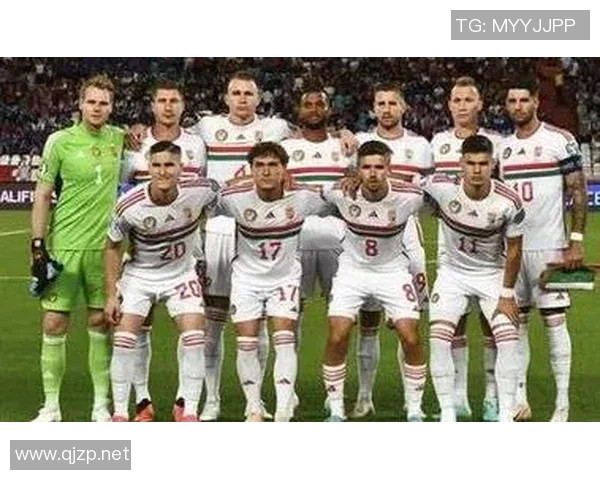 北爱尔兰主场迎战奥地利球队期待精彩对决与胜利之争