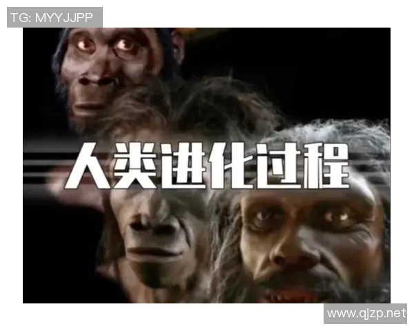 打破极限 创下历史新纪录 见证人类不可能的成就与未来可能性