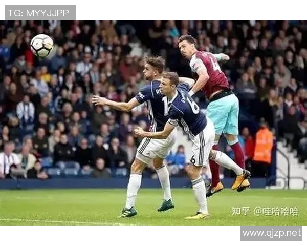 英冠激战巴恩斯利主场迎战西布朗维奇争夺关键三分