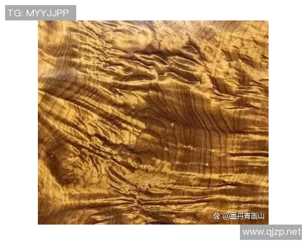 防腐木材的应用与维护技巧解析提升木材耐用性与环保性能的有效方法