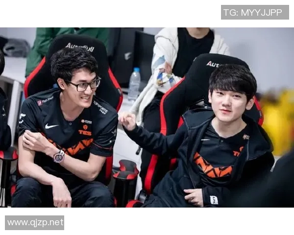 TES团队协作表现的数据分析与提升策略探讨