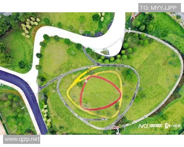 广州飞盘队防守体系解析：飞盘战术的创新与实践探索