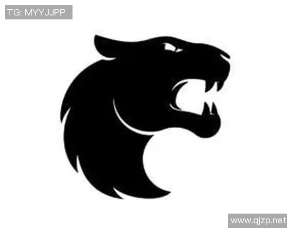 CSGO战术深度解析：揭秘WE战队默契配合与战略布局